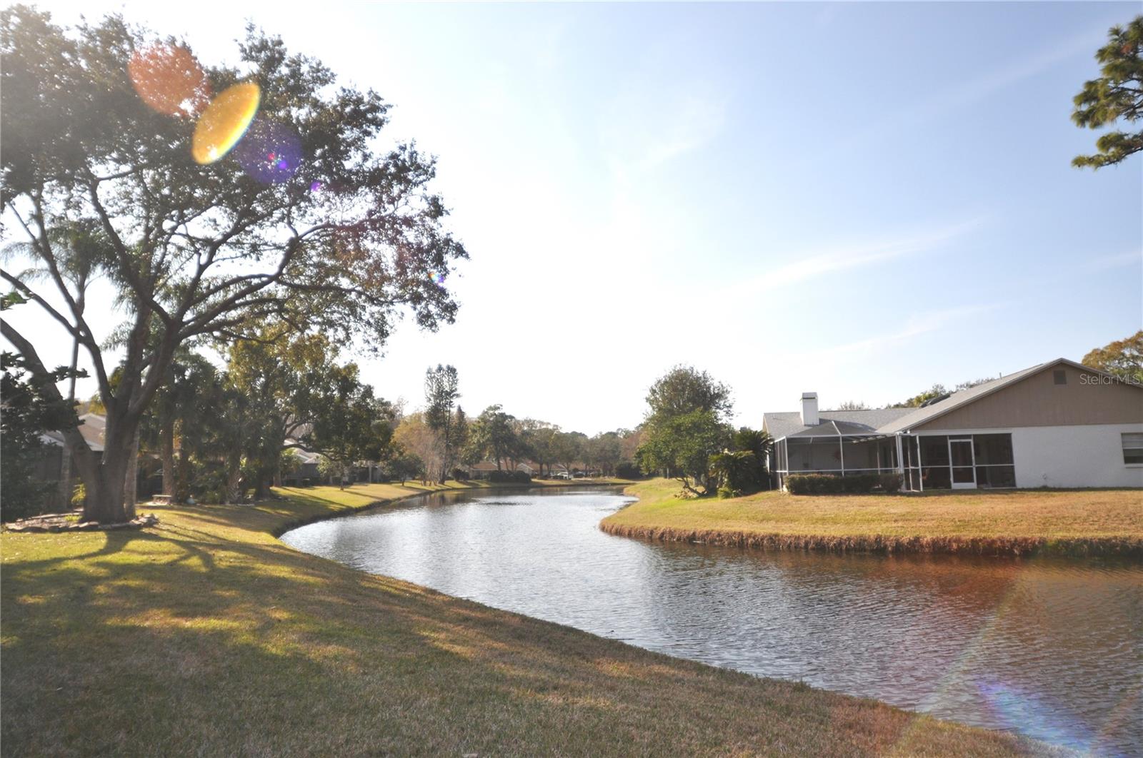 5565 Salem Square Dr N, Palm Harbor, FL 34685