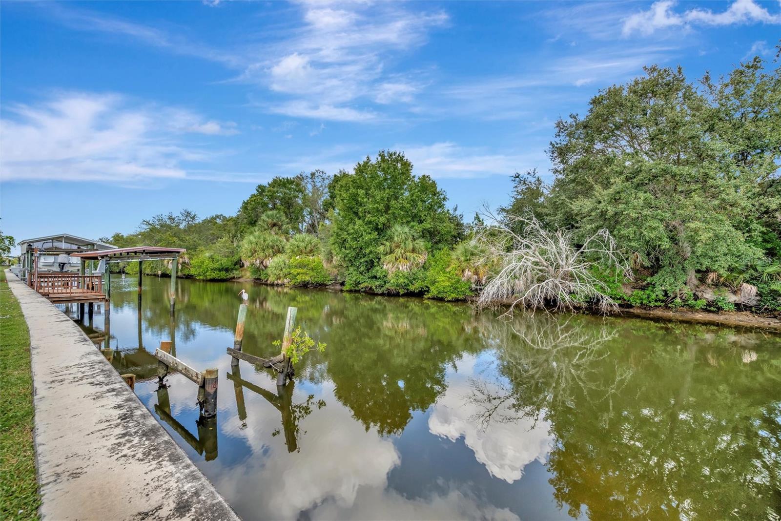 236 N Saint Thomas Cir, Apollo Beach, FL 33572