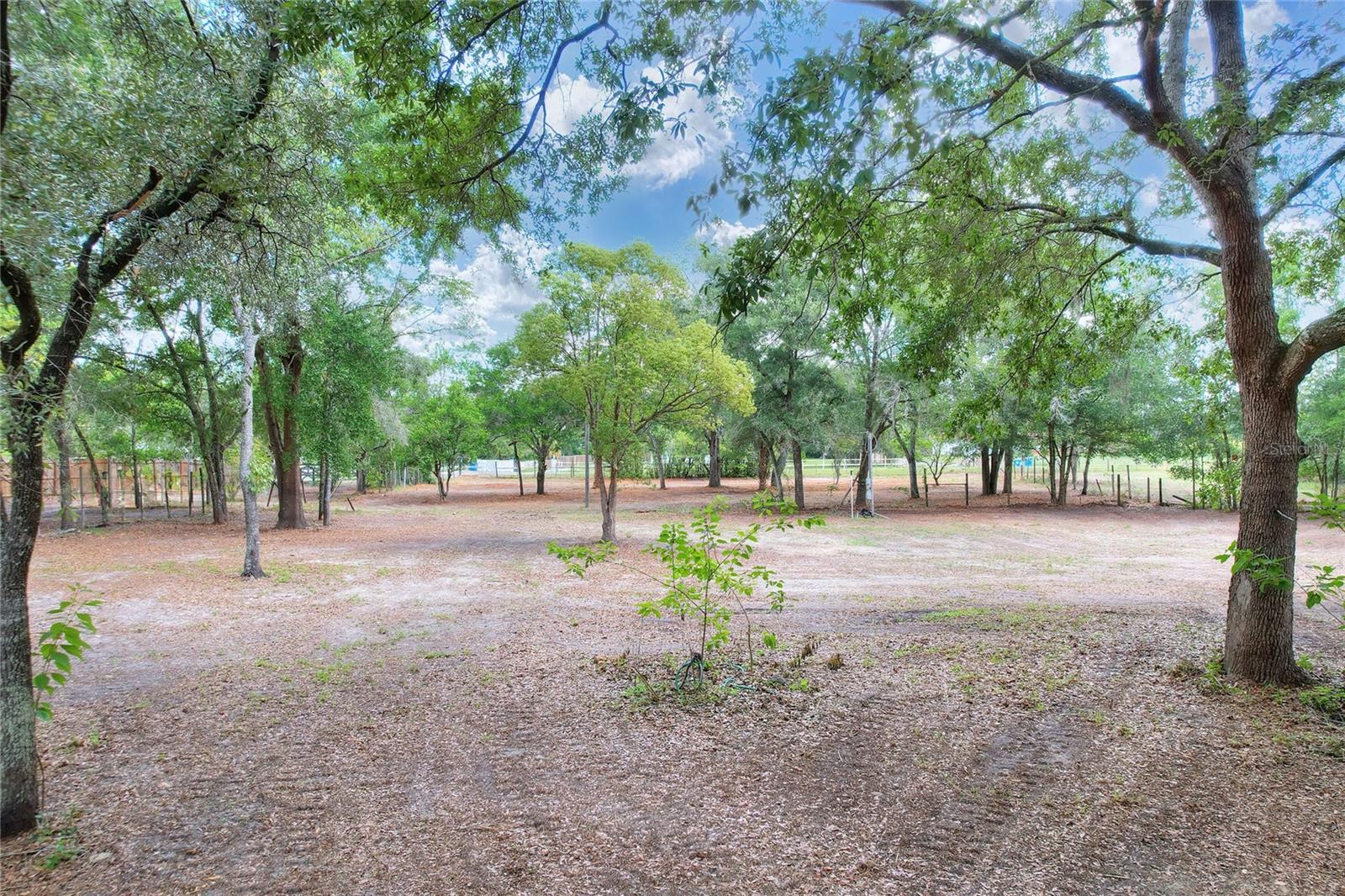 11000 Kitten Trl, Hudson, FL 34669