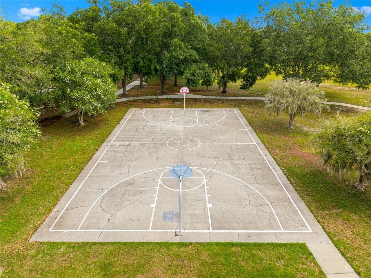 4628 Corsage Dr, Lutz, FL 33558