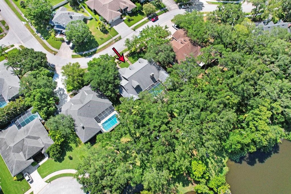 1976 Dunloe Cir, Dunedin, FL 34698