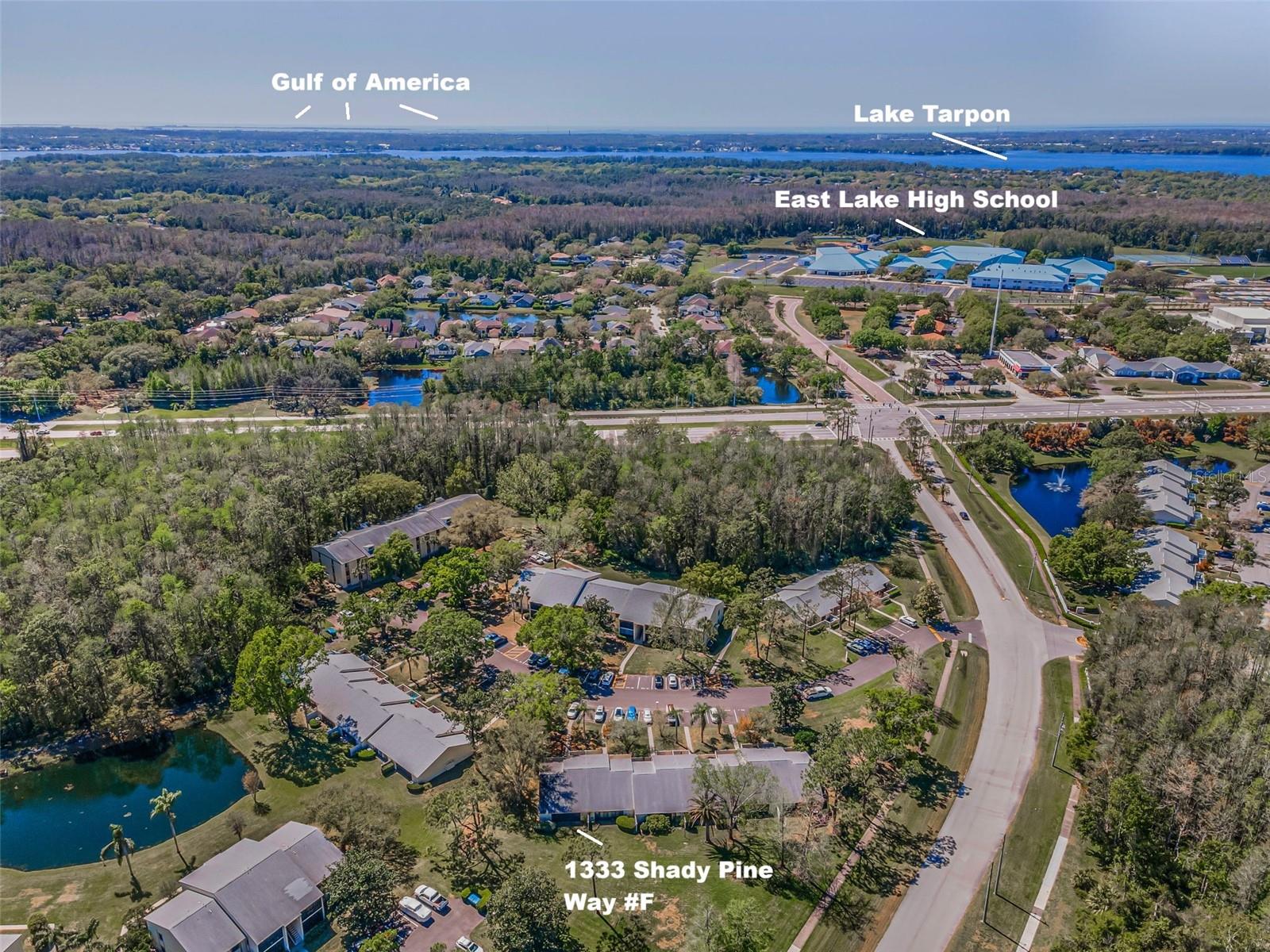 1333 Shady Pine Way #F, Tarpon Springs, FL 34688