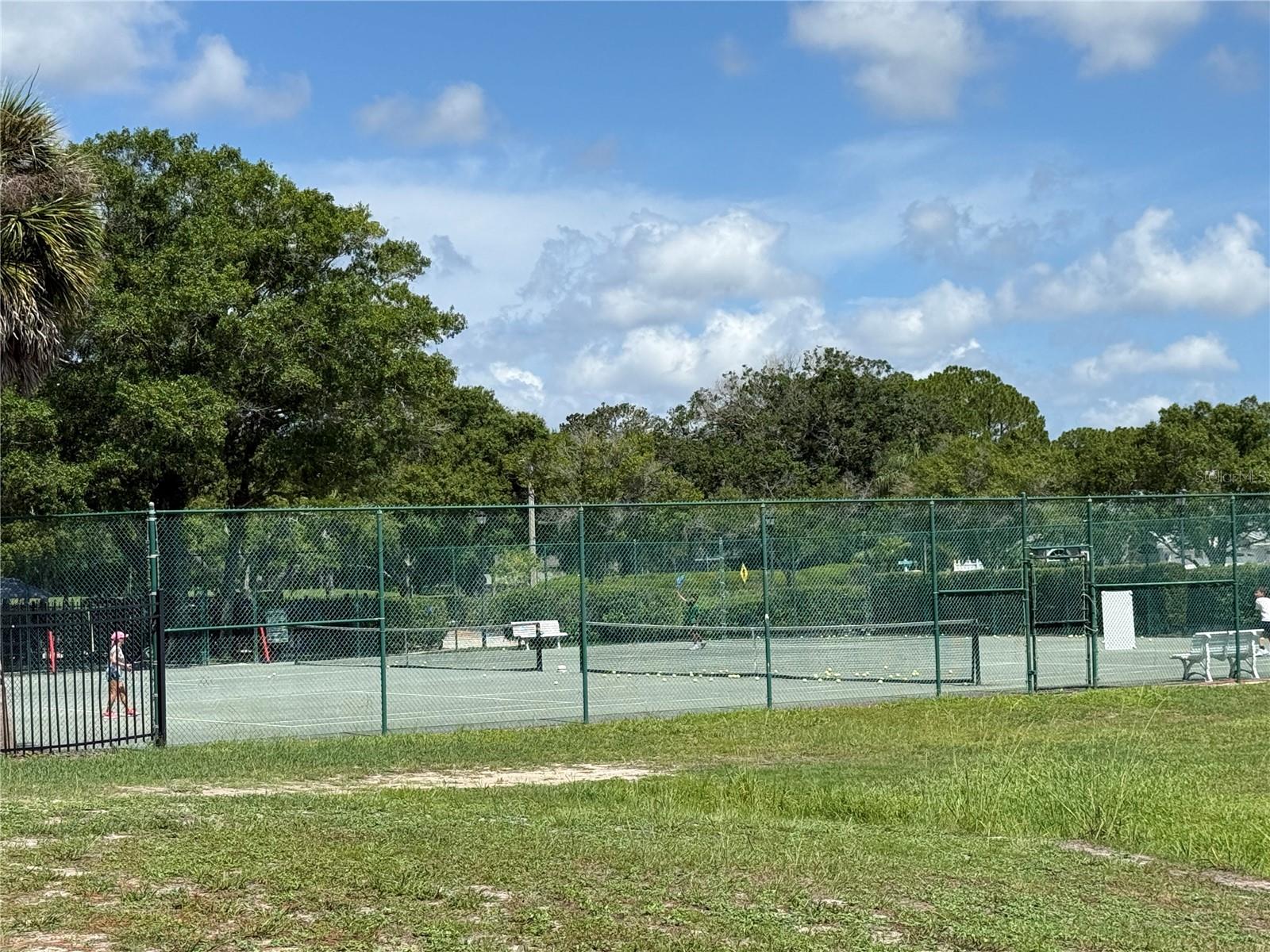 13108 Royal George Ave, Odessa, FL 33556
