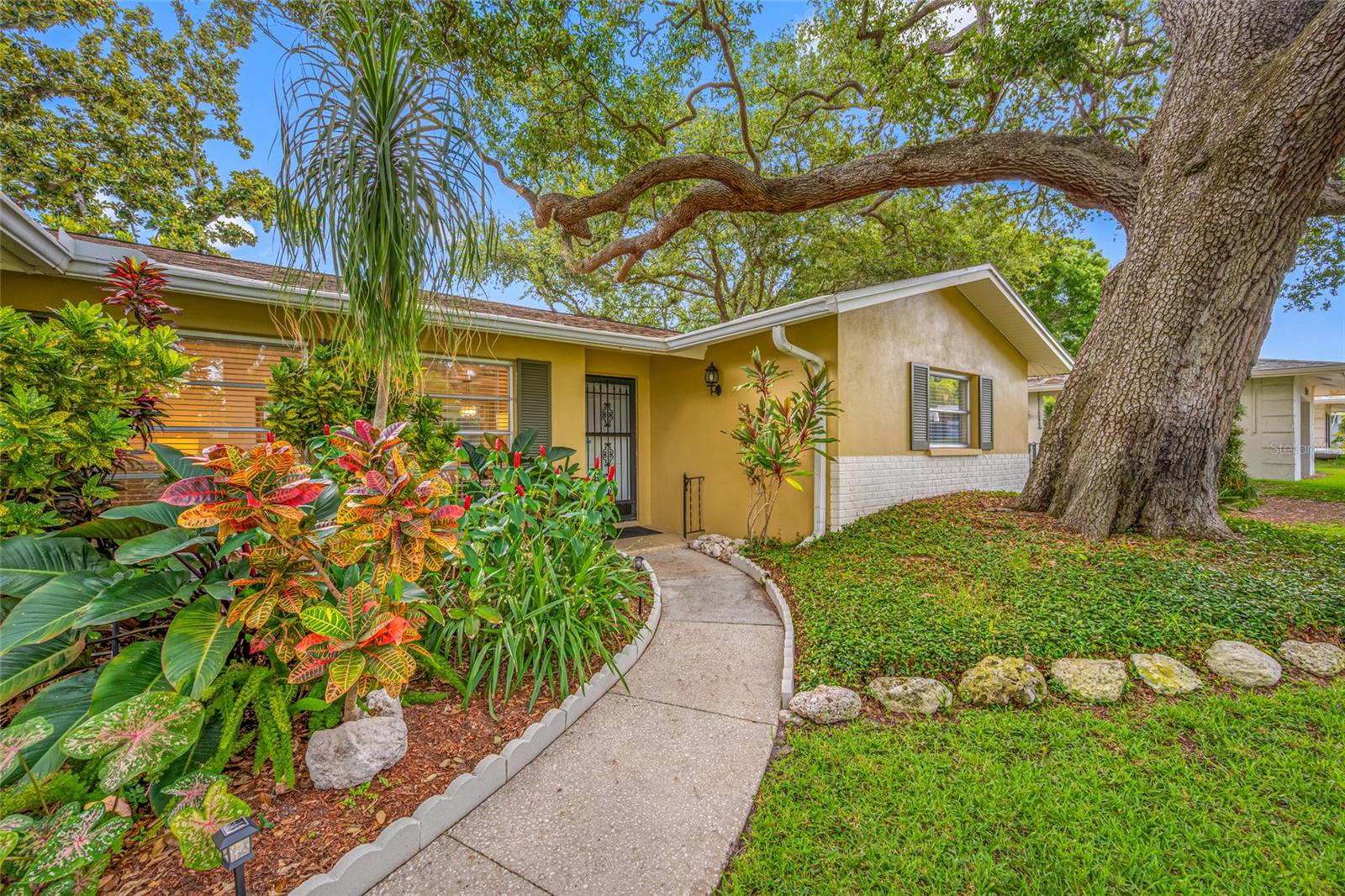 2036 Forest Dr, Clearwater, FL 33763
