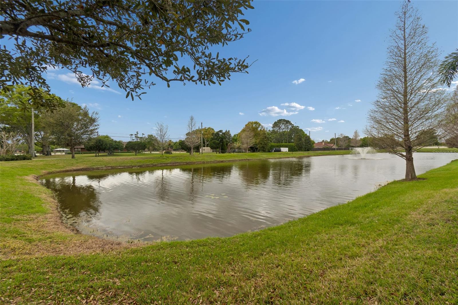 11512 Navel Orange Way, Tampa, FL 33626