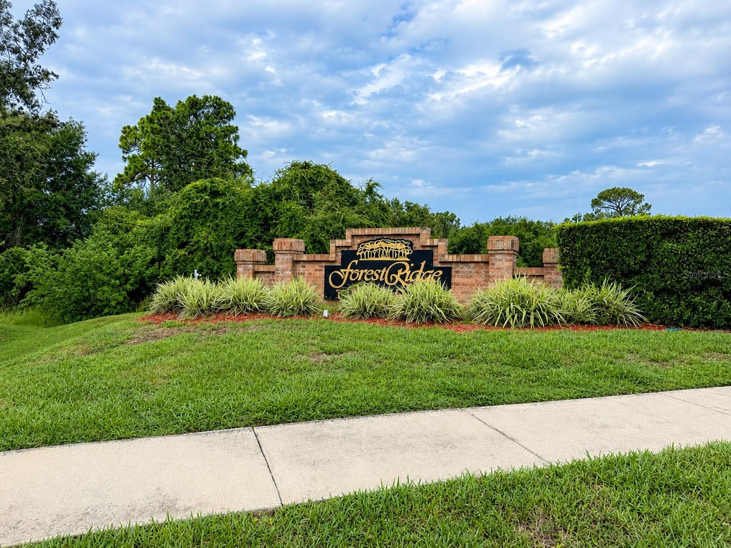 1959 Wood Trail St, Tarpon Springs, FL 34689