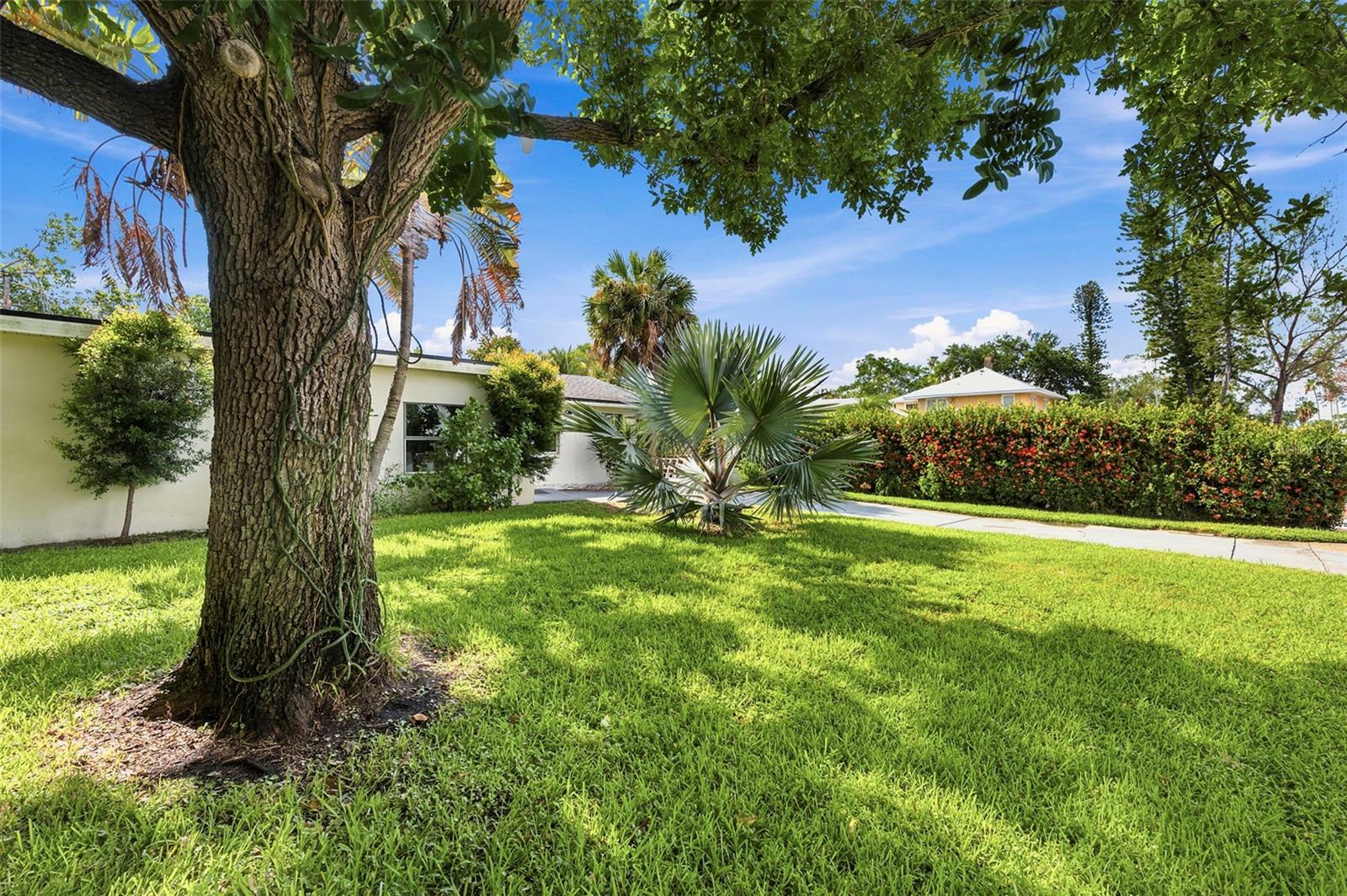 3947 Huntington St NE, St Petersburg, FL 33703