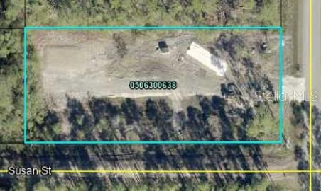 10175 Crotty Ave, Hastings, FL 32145