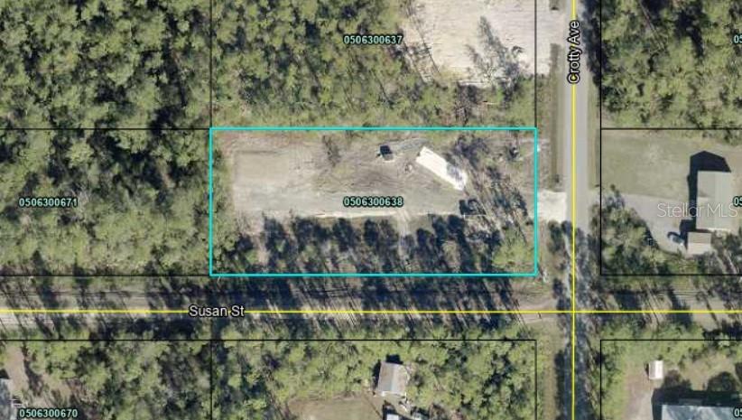 10175 Crotty Ave, Hastings, FL 32145