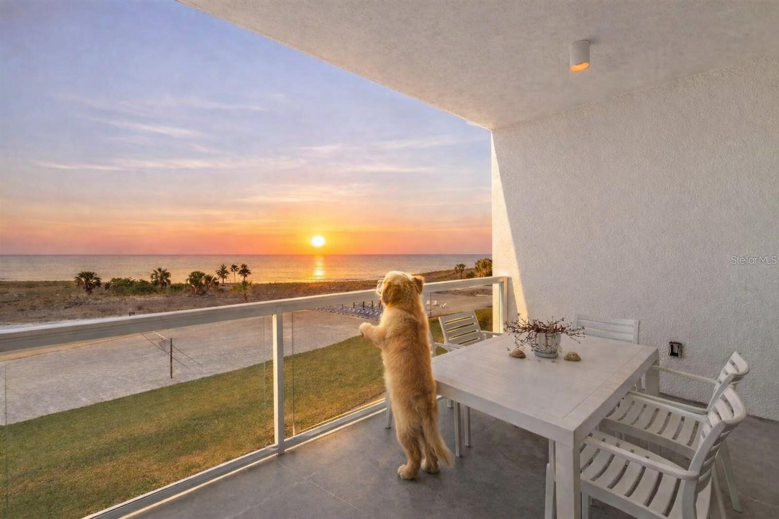 11500 Gulf Blvd #304, Treasure Island, FL 33706