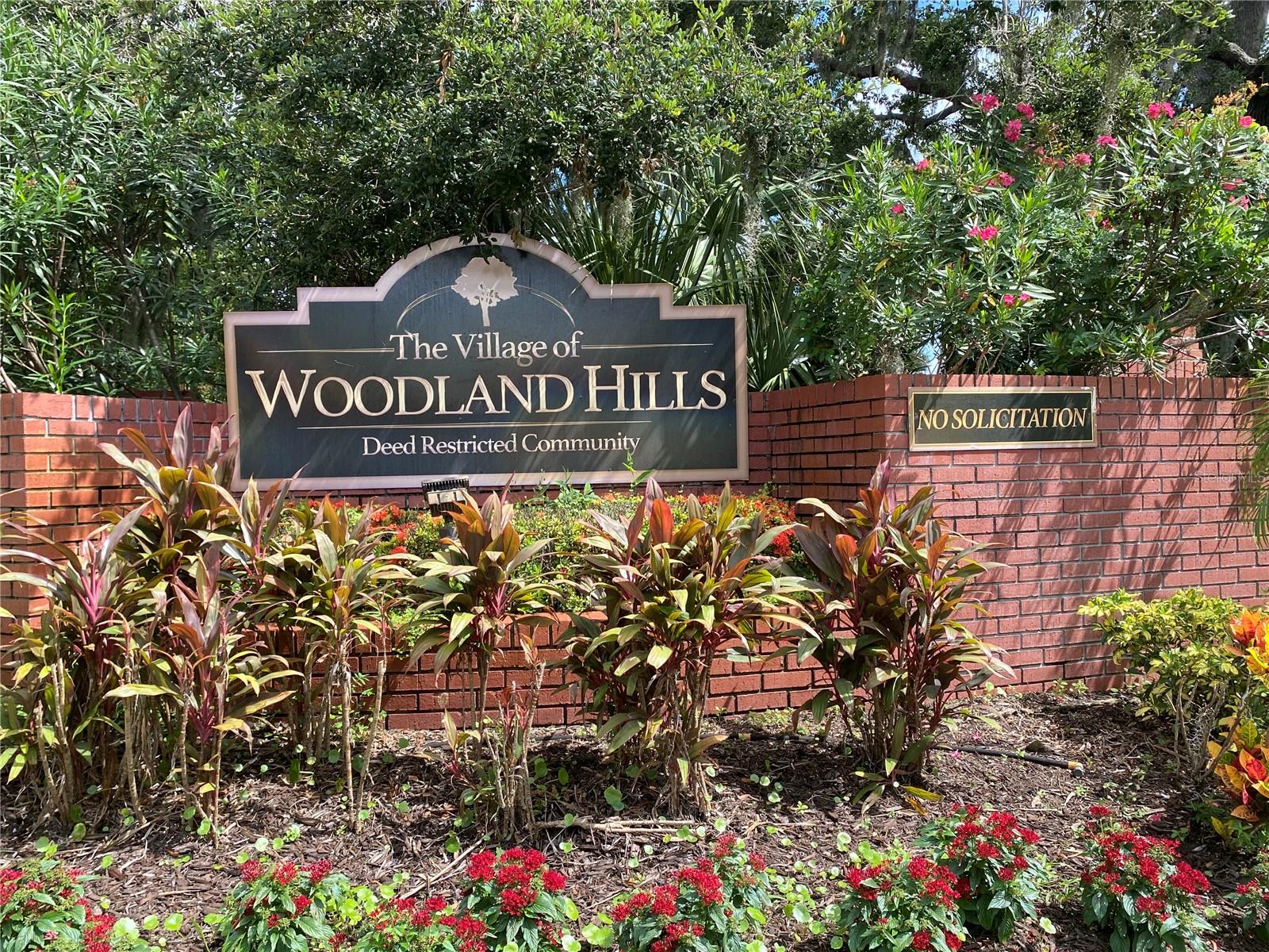 3408 Arcadia Dr, Palm Harbor, FL 34684