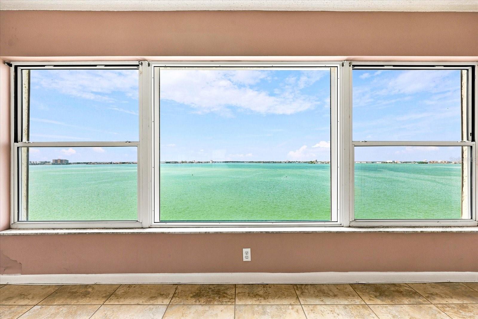 6020 Shore Blvd S #1002, Gulfport, FL 33707