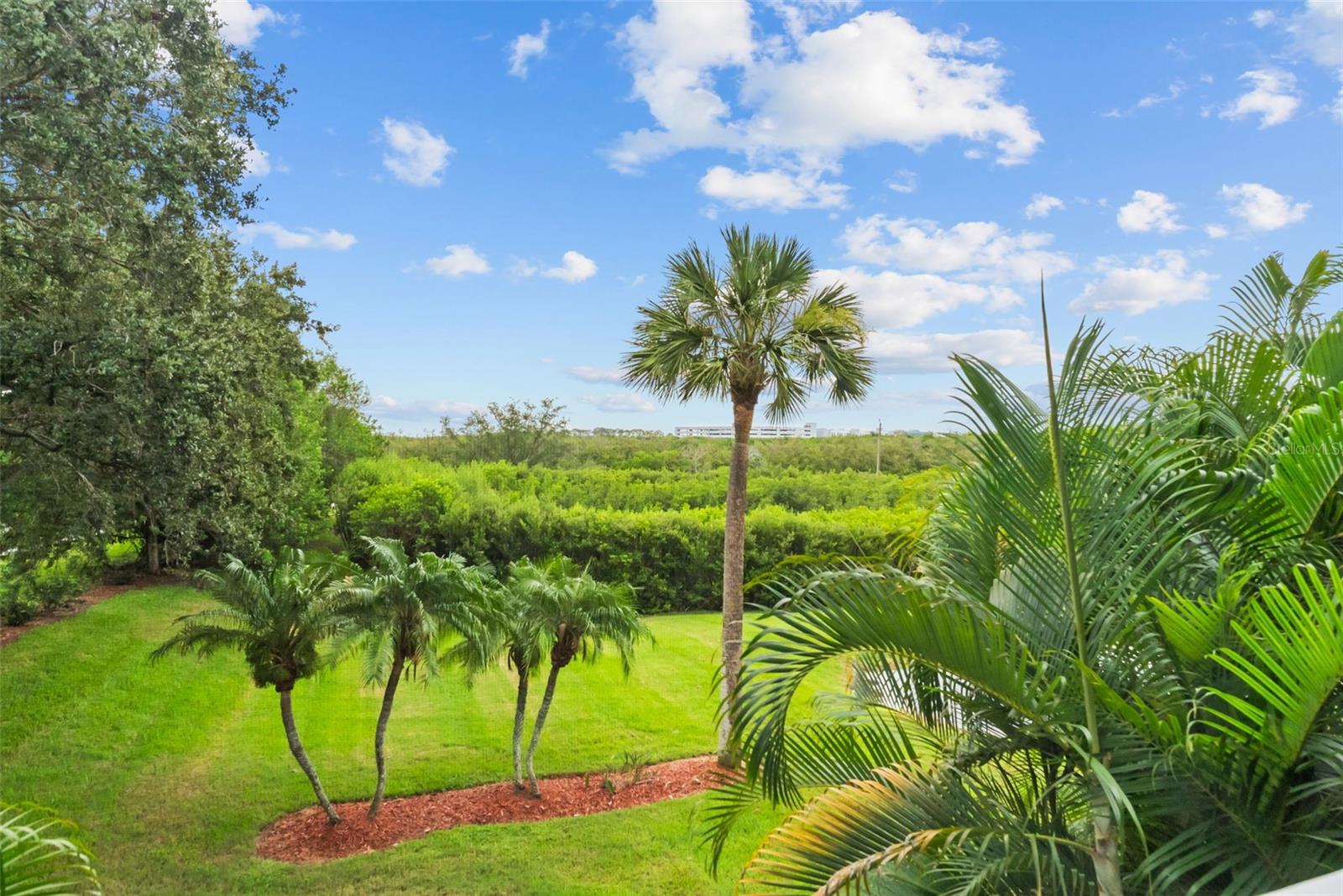 38 Seagrape Cir, Clearwater, FL 33759