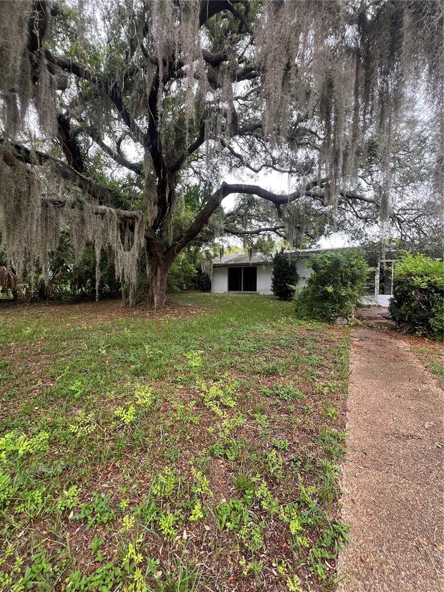 425 Craig Dr, Tarpon Springs, FL 34689
