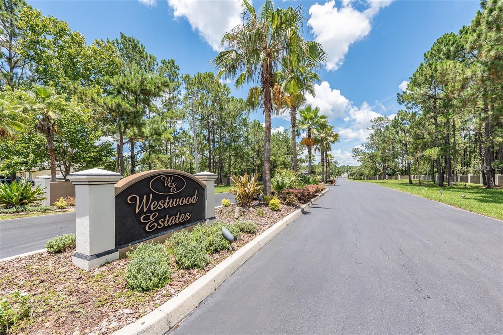 8616 Spring Forest Ln, Wesley Chapel, FL 33544