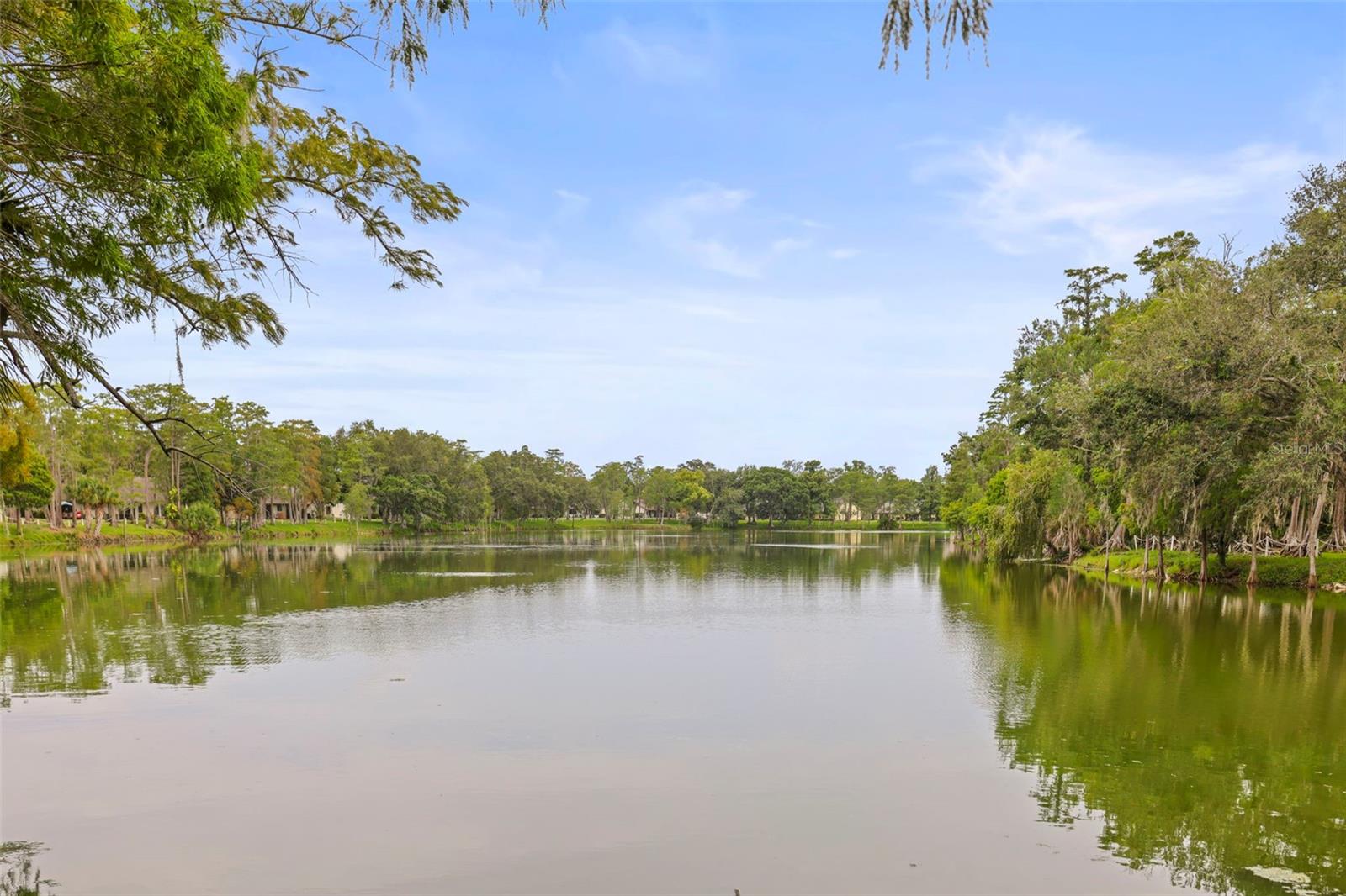 2556 Royal Pines Cir #13-C, Clearwater, FL 33763