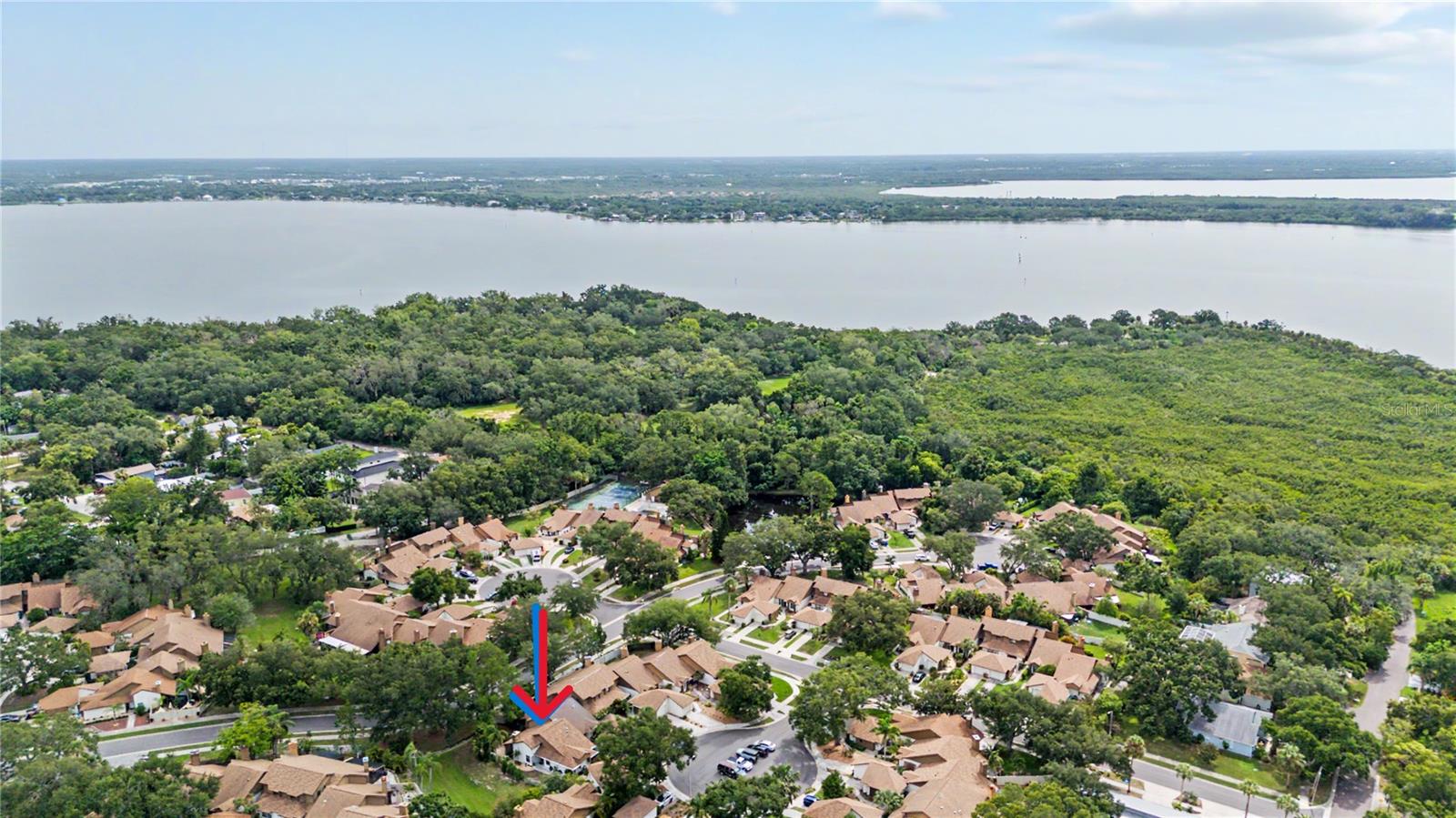 207 Lighthouse Ct, Safety Harbor, FL 34695