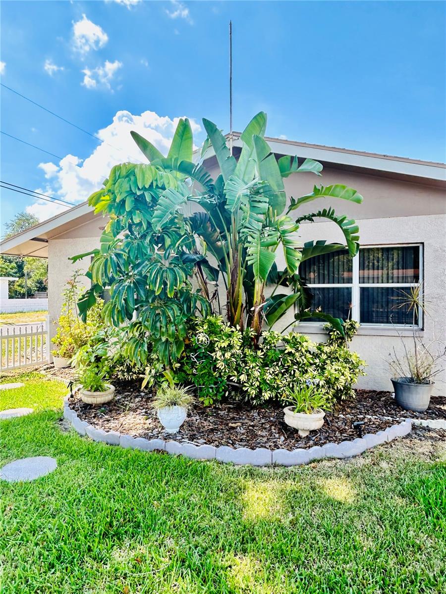 6190 6th St S, St Petersburg, FL 33705