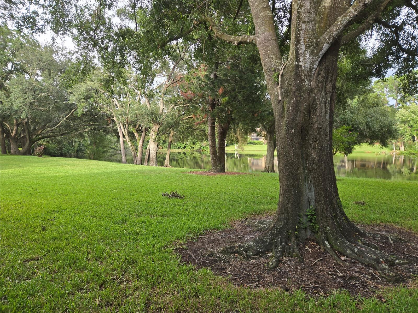 11805 Skylake Pl #C, Tampa, FL 33617