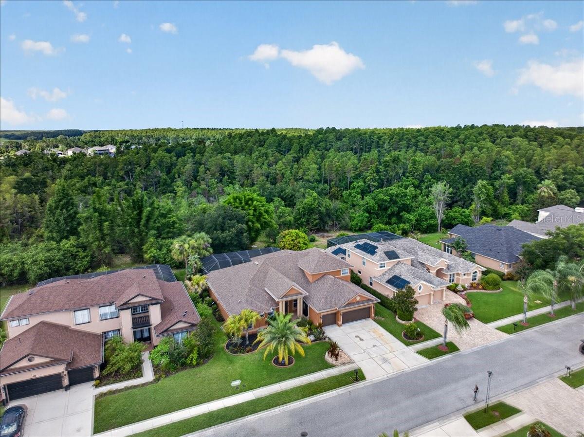 16410 Ivy Lake Dr, Odessa, FL 33556
