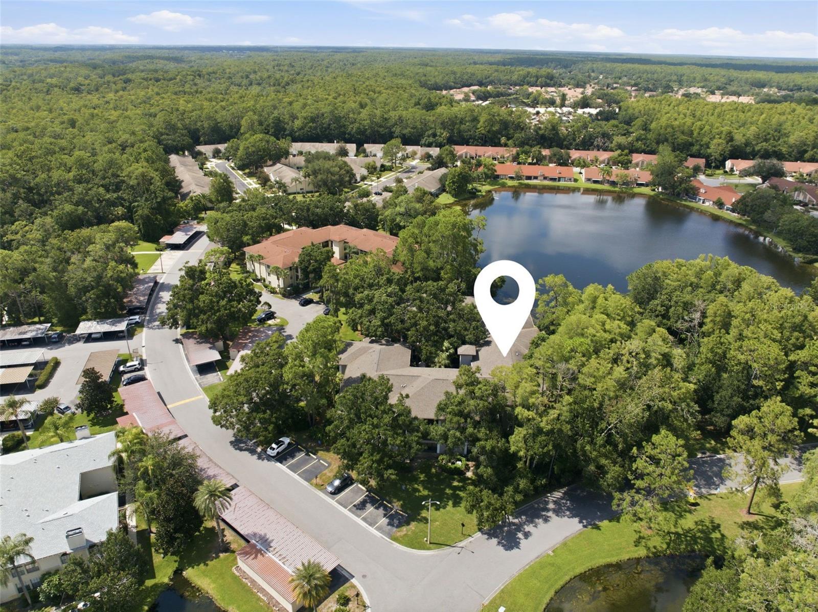 3399 Mermoor Dr #105, Palm Harbor, FL 34685
