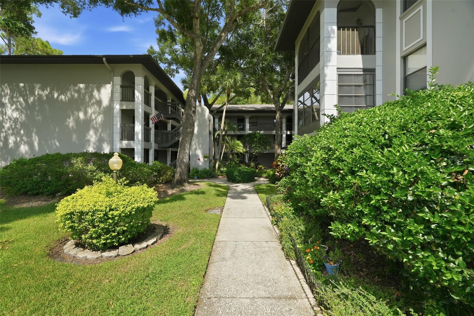 3399 Mermoor Dr #105, Palm Harbor, FL 34685