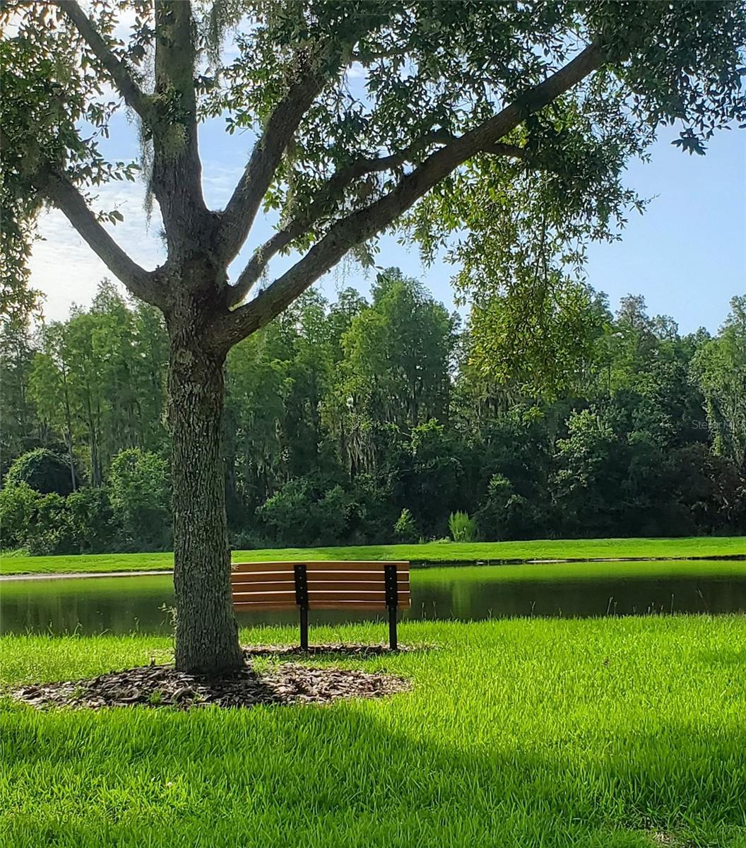 5522 Reflections Blvd, Lutz, FL 33558