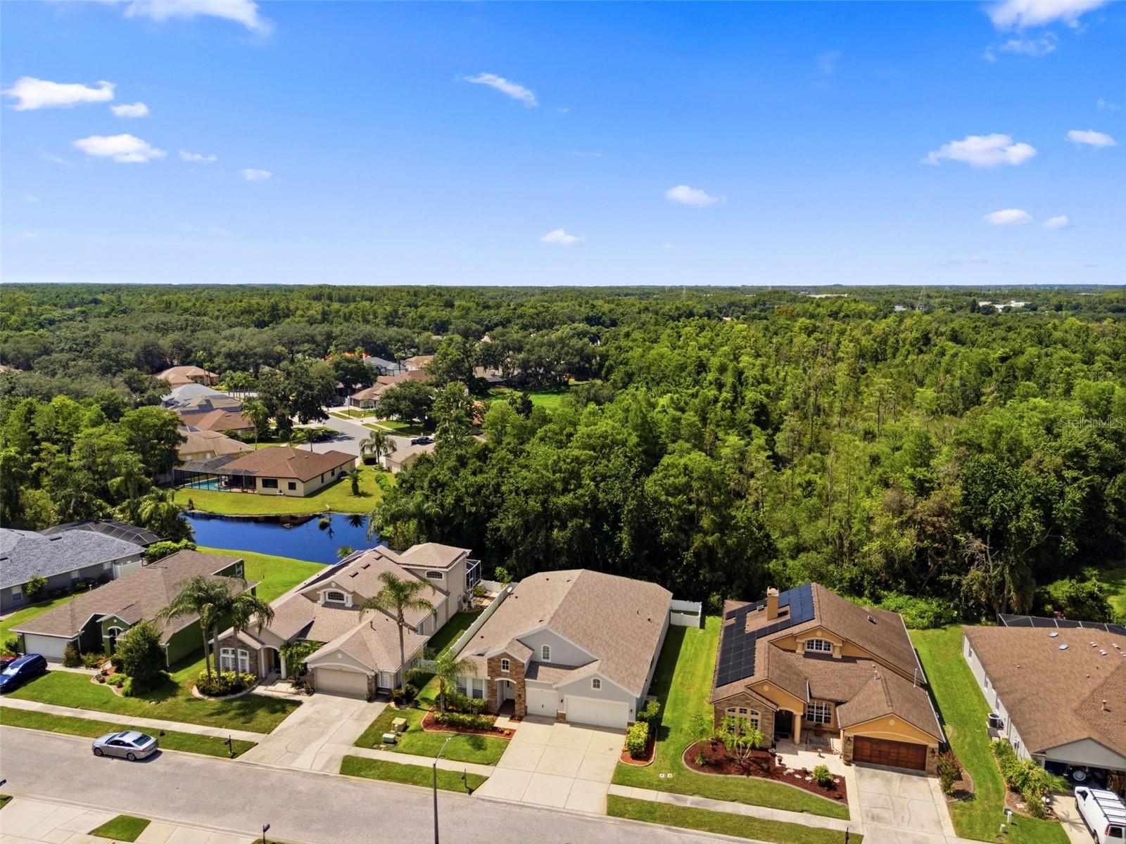 1501 Flatwood Ct, Trinity, FL 34655