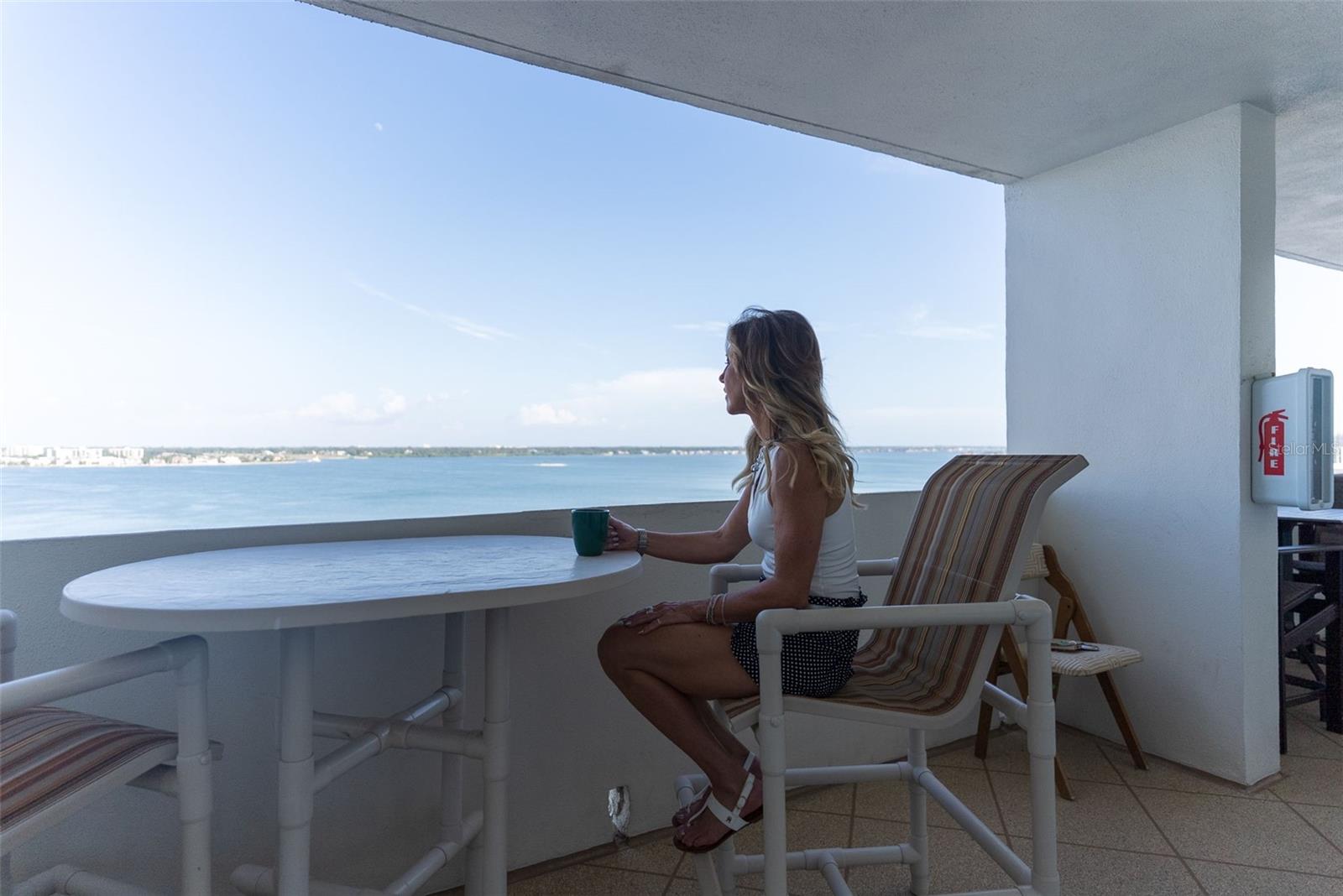 1230 Gulf Blvd #1204, Clearwater, FL 33767