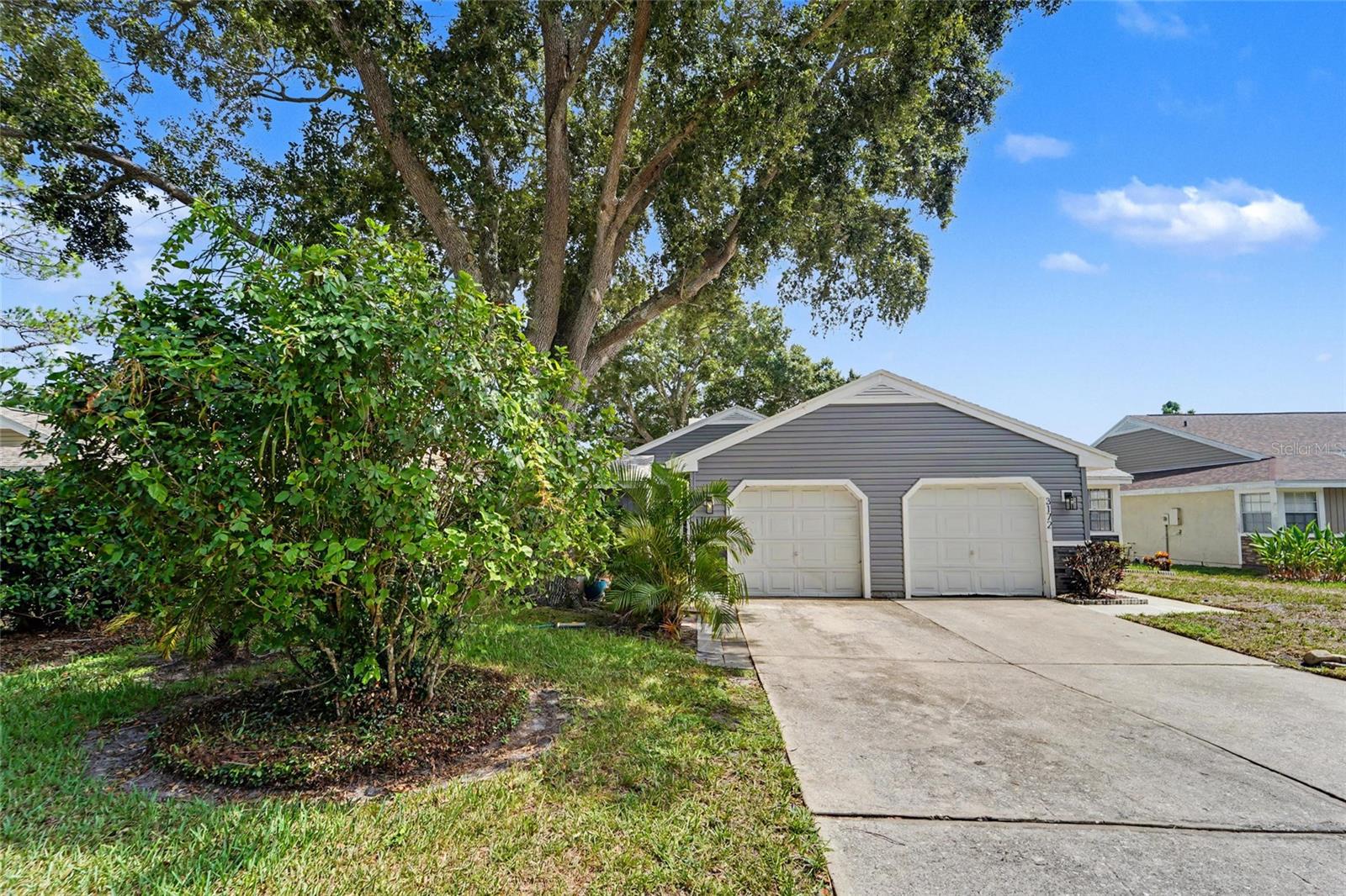 3174 Phlox Dr, Palm Harbor, FL 34684
