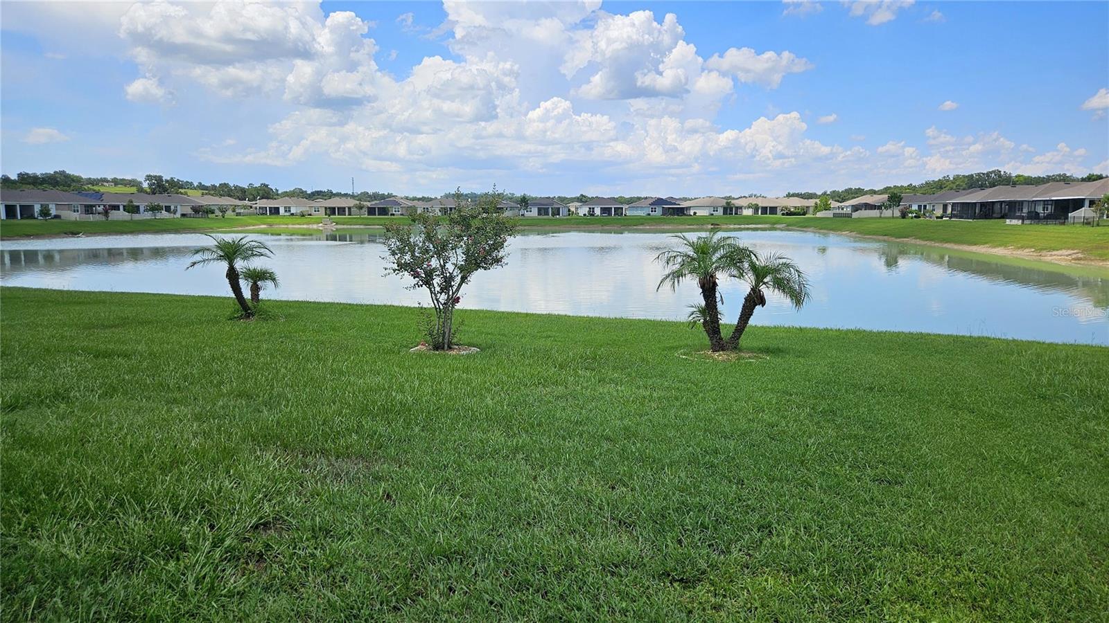 8103 Wheat Stone Dr, Zephyrhills, FL 33540