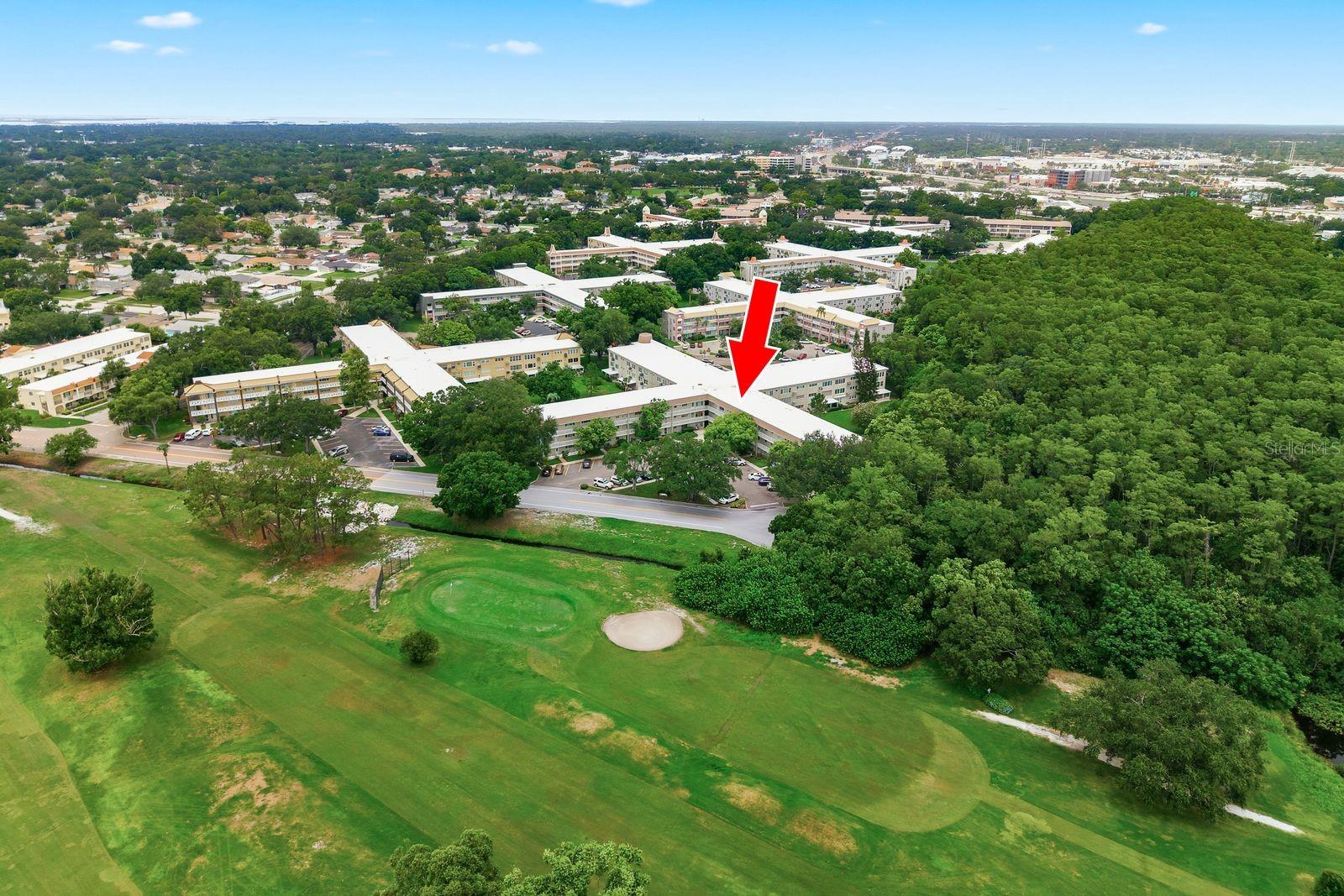 2440 World Parkway Blvd #34, Clearwater, FL 33763