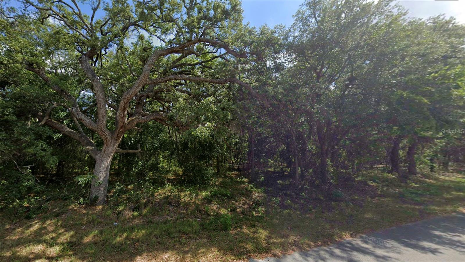 0 Todd Trl, Spring Hill, FL 34610
