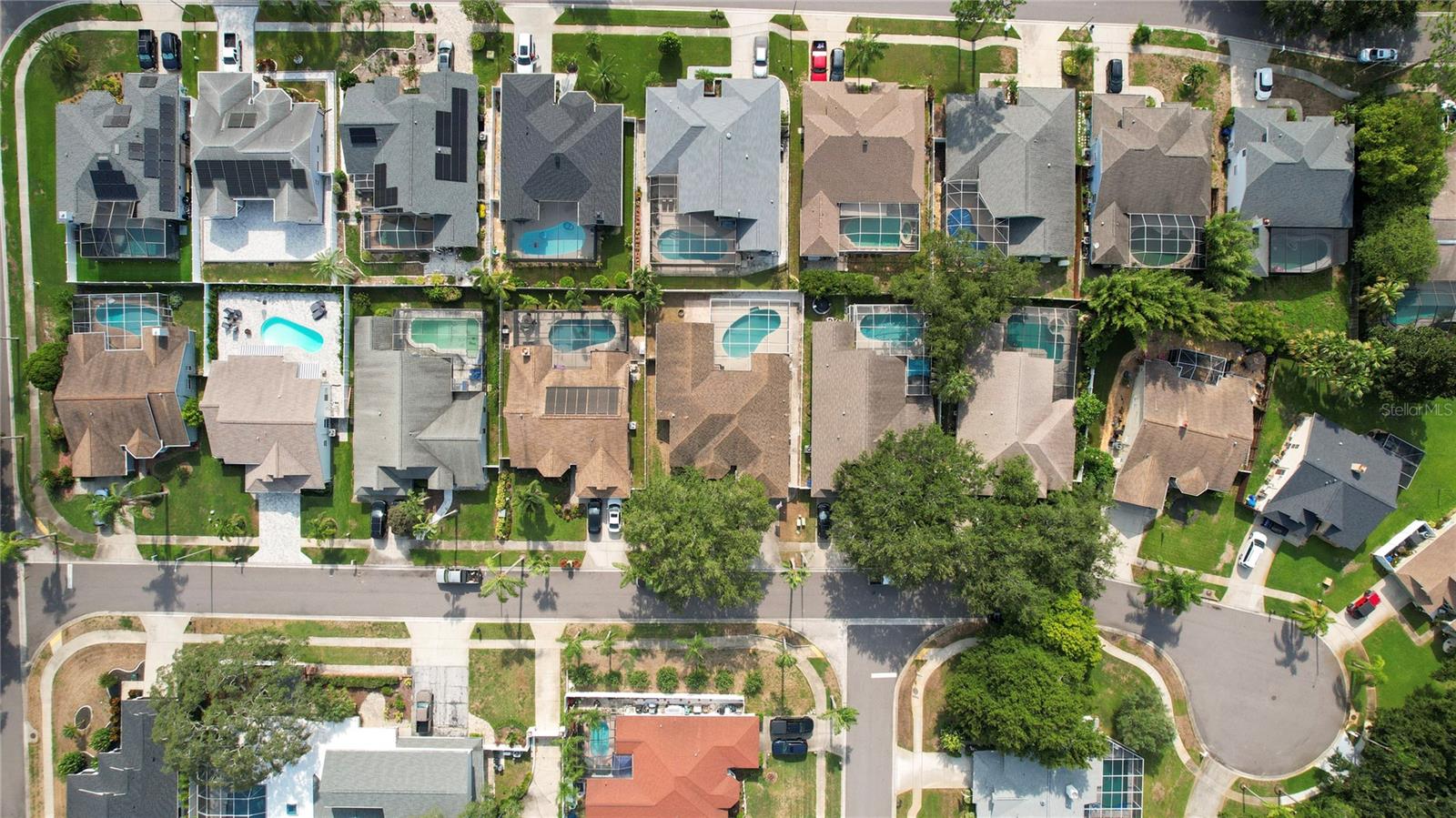 1690 Winners Cir, Tarpon Springs, FL 34689
