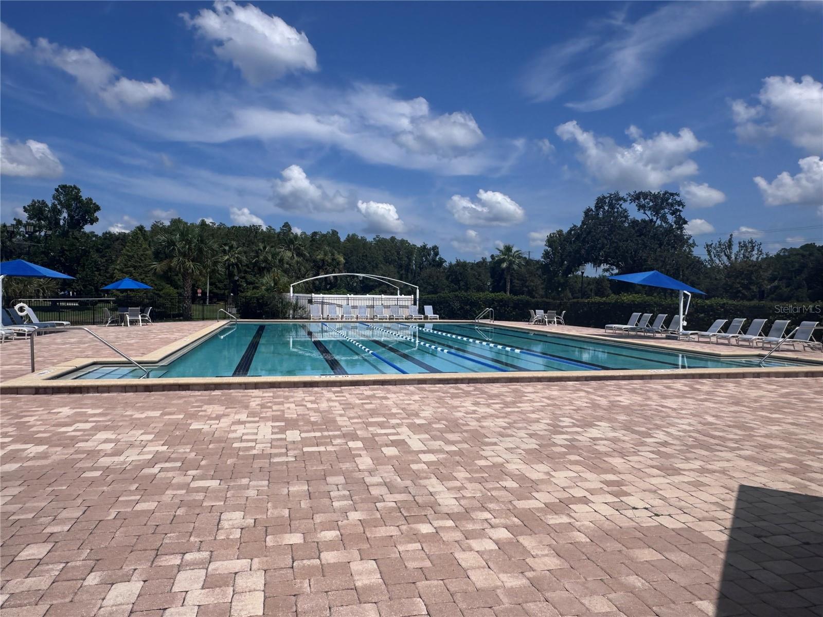 6203 Farthing St, Tampa, FL 33647