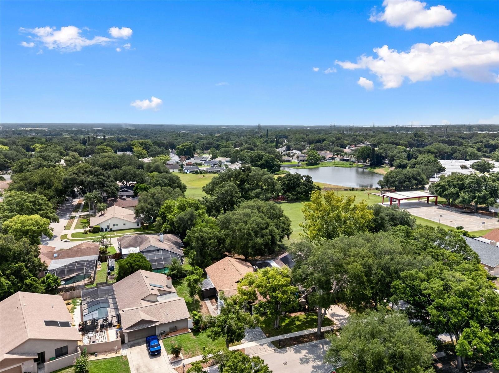 647 Bonnie Blvd, Palm Harbor, FL 34684