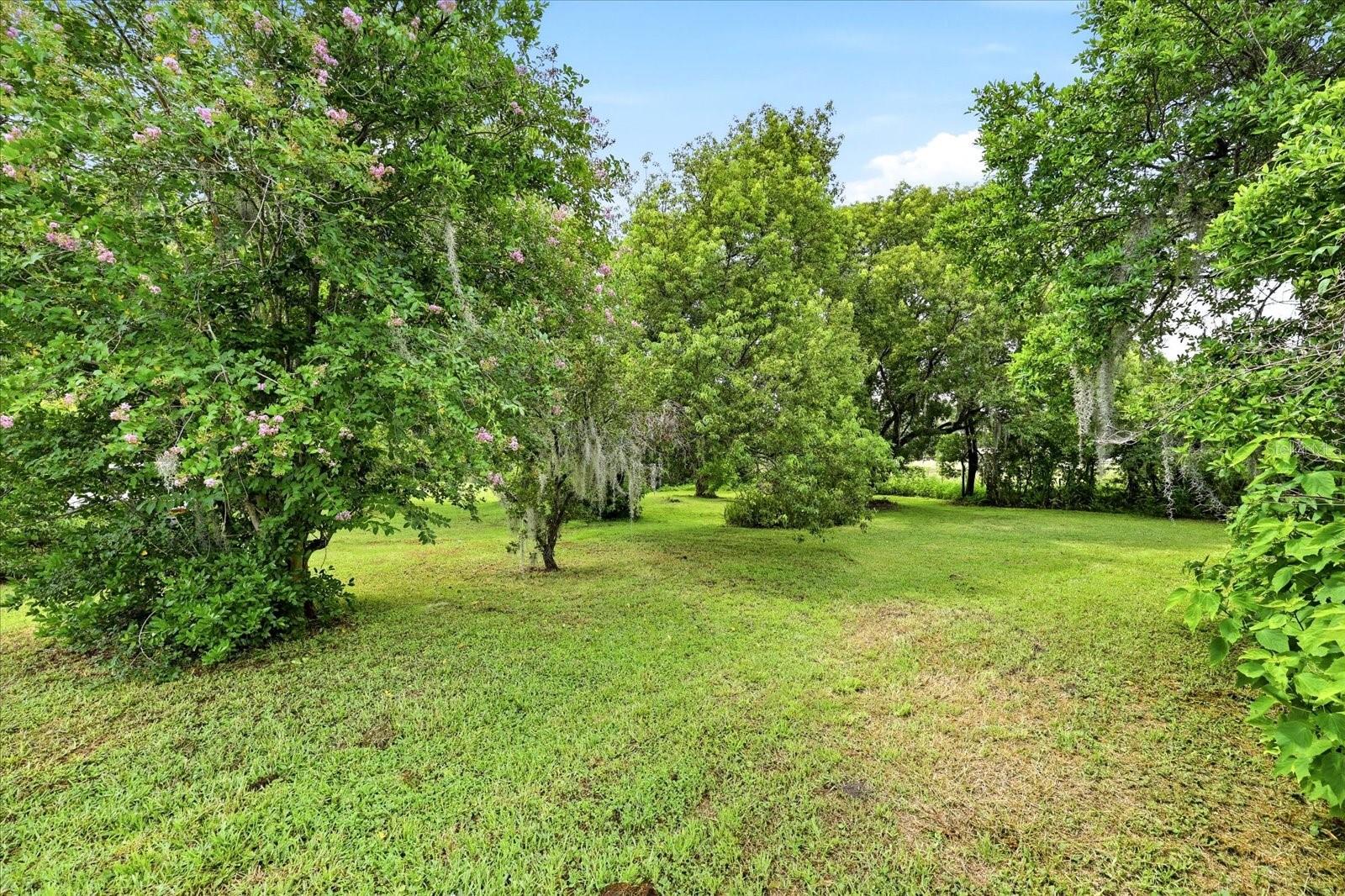 403 S Parsons Ave, Seffner, FL 33584