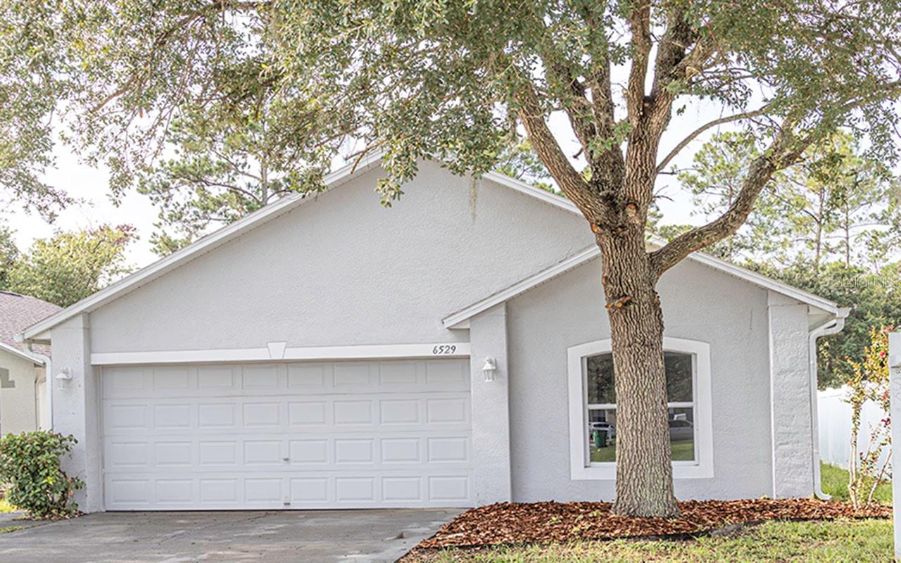6529 Tabogi Trl, Wesley Chapel, FL 33545