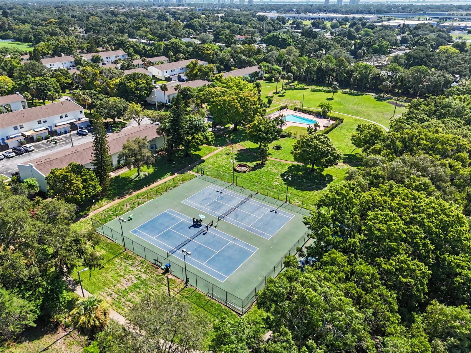 4505 La Capri Ct, Tampa, FL 33611