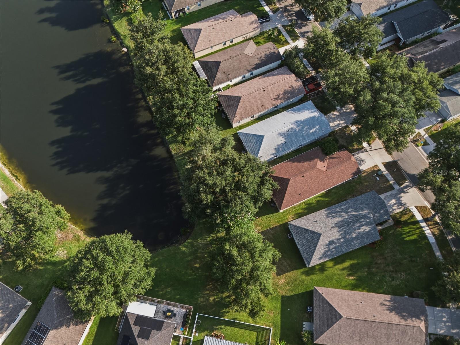 18165 Canal Pointe St, Tampa, FL 33647