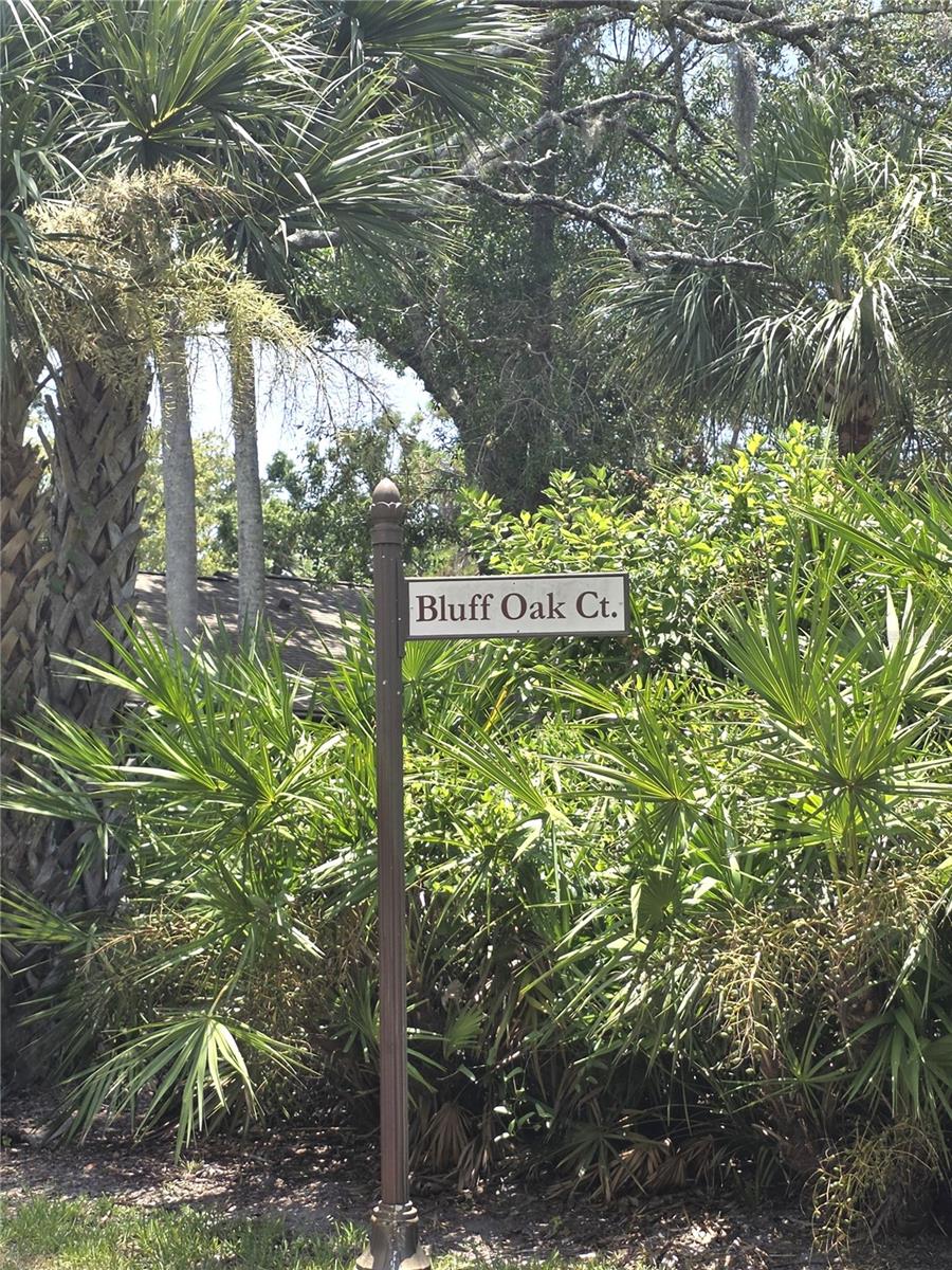 4045 Bluff Oak Ct, Palm Harbor, FL 34684