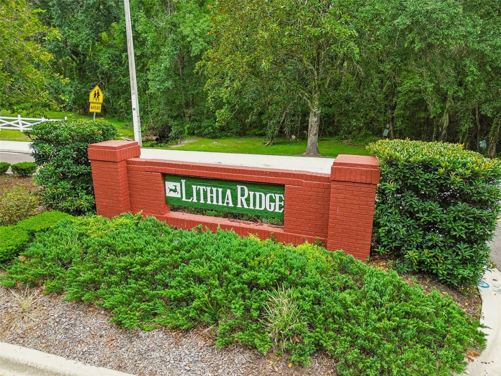 3607 Lithia Ridge Blvd, Valrico, FL 33596
