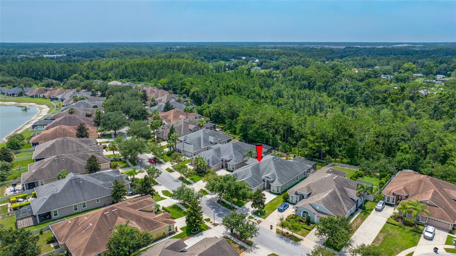 2923 Devonoak Blvd, Land O Lakes, FL 34638