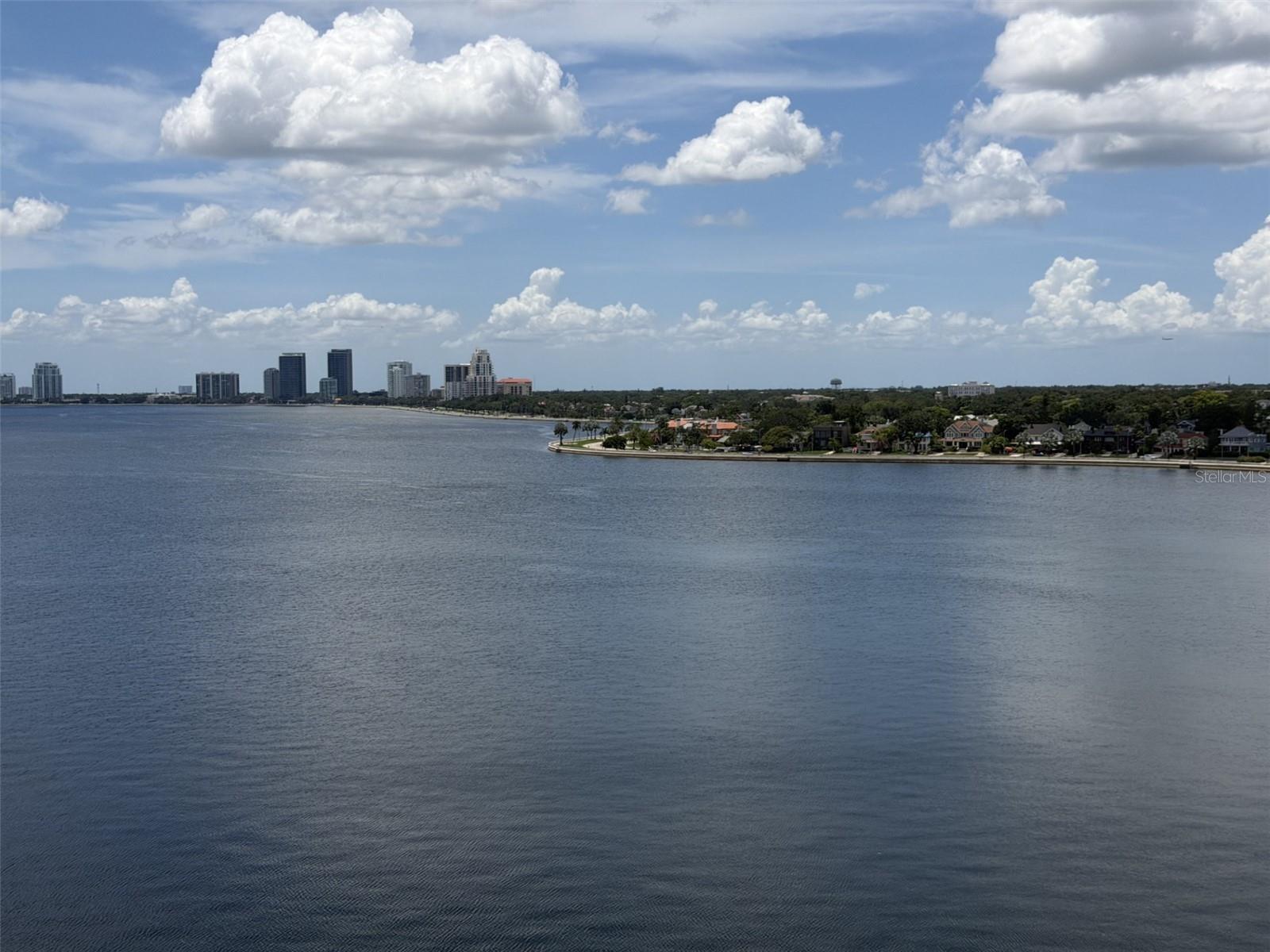 2 Adalia Ave #1004, Tampa, FL 33606