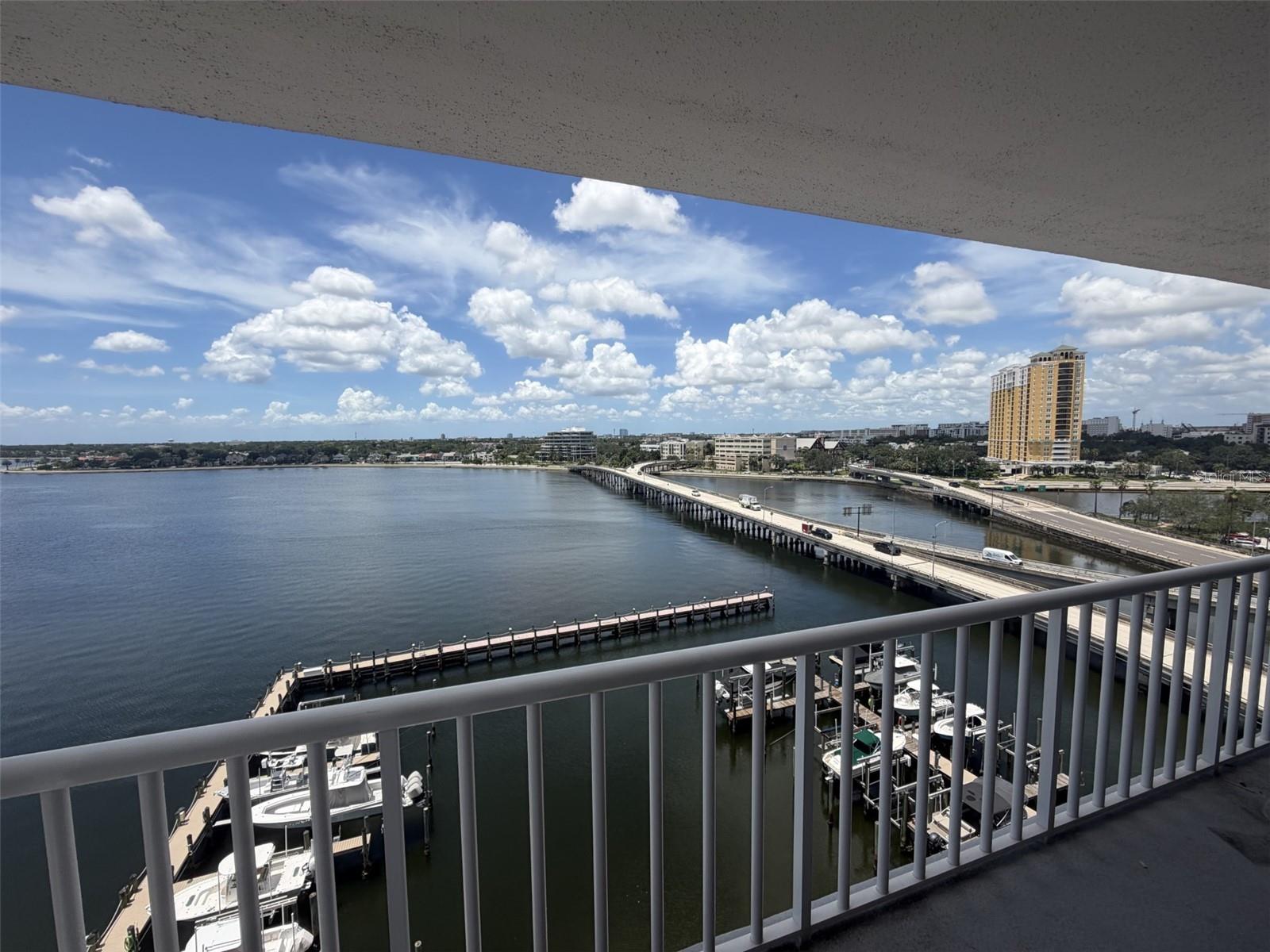 2 Adalia Ave #1004, Tampa, FL 33606
