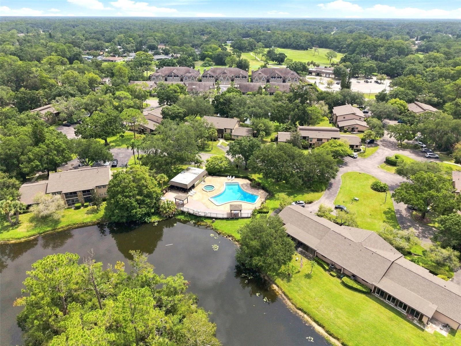 1400 Tarpon Woods Blvd #A1, Palm Harbor, FL 34685