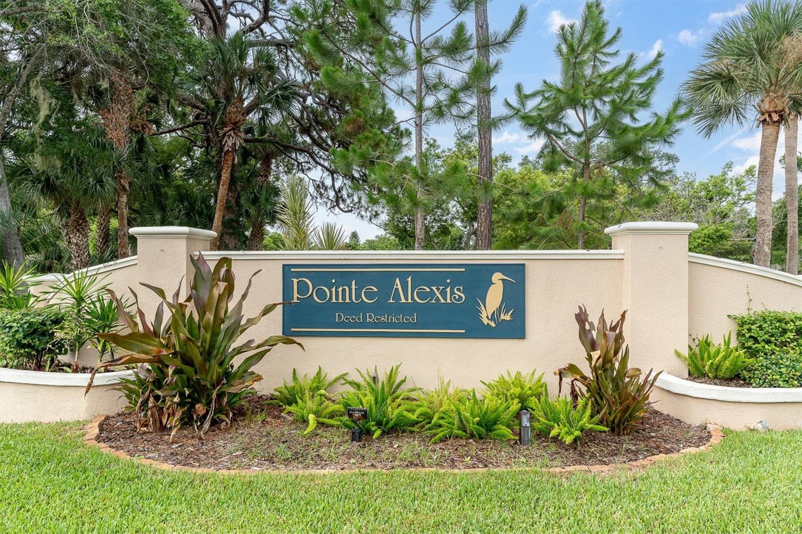 1083 S Pointe Alexis Dr, Tarpon Springs, FL 34689