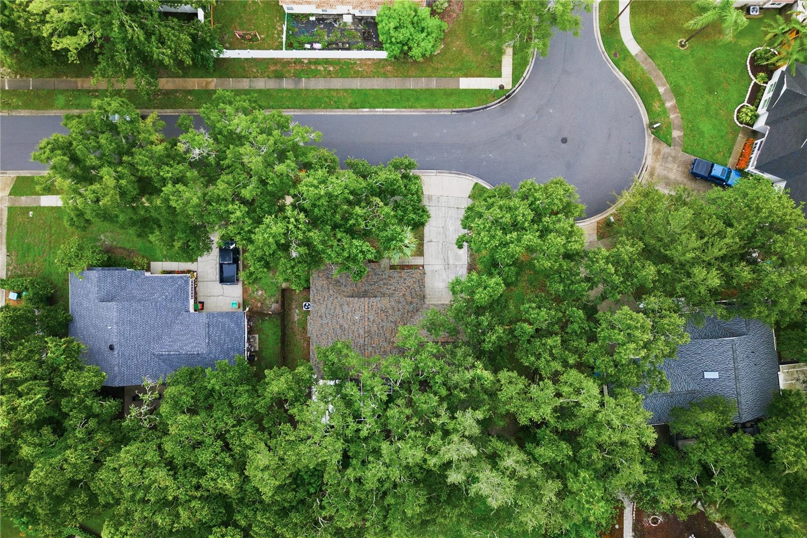446 Kelly Green St, Palm Harbor, FL 34683