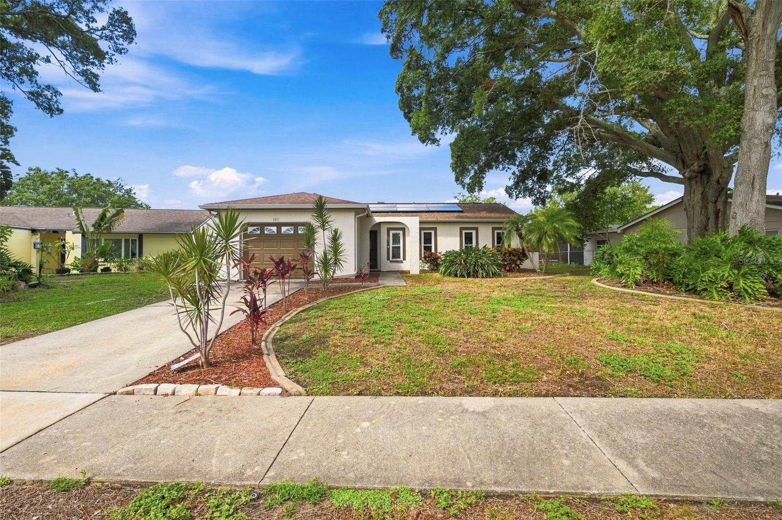 2460 Beacon Groves Blvd, Palm Harbor, FL 34683