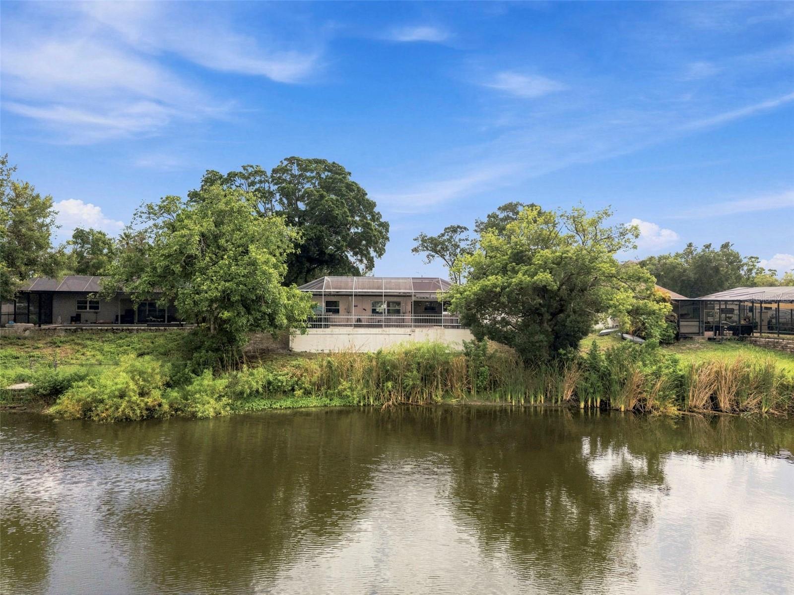 2460 Beacon Groves Blvd, Palm Harbor, FL 34683